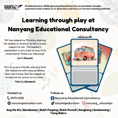 nanyang educational consultancy